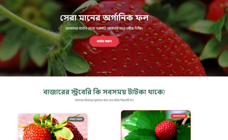 Landing Page 24