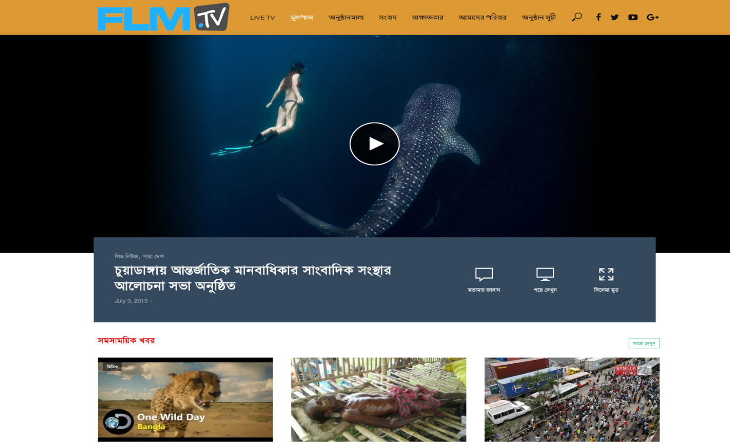 TV Website 03